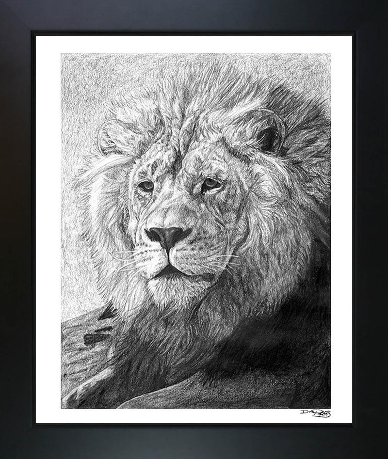 "African Nobility" Fine Art Lion Print - Dan Pearce Sticker Shop