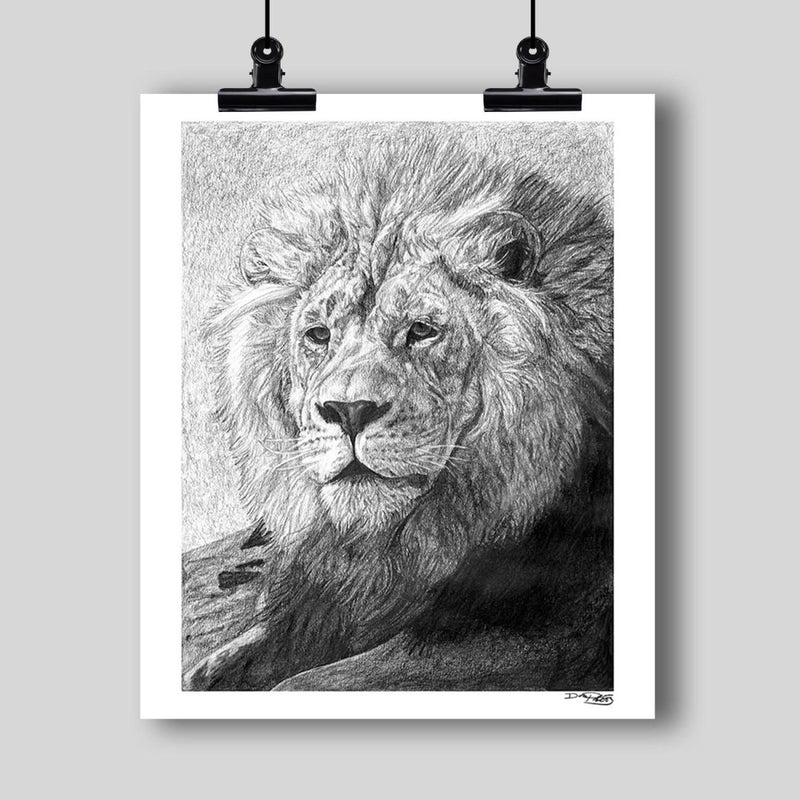 "African Nobility" Fine Art Lion Print - Dan Pearce Sticker Shop