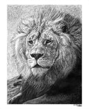 "African Nobility" Original Lion Artwork 18 x 24 - Dan Pearce Sticker Shop