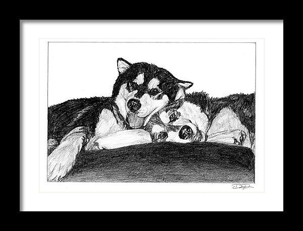 Alaskan Malamute Dogs Art Print - Dan Pearce Sticker Shop