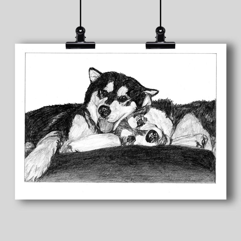 Alaskan Malamute Dogs Art Print - Dan Pearce Sticker Shop