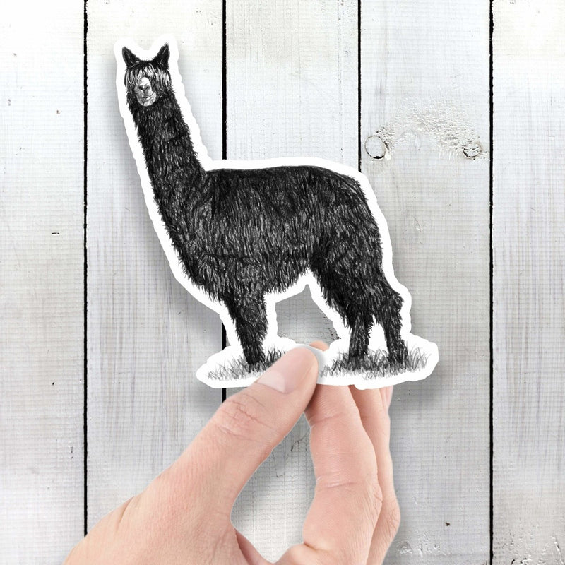 Alpaca (Drawing) - Vinyl Sticker - Dan Pearce Sticker Shop