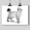 American Bobtail Cat Fine Art Print - Dan Pearce Sticker Shop