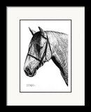 Andalusian Horse Fine Art Print - Dan Pearce Sticker Shop