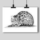 Asian Leopard Cat Art Print - Dan Pearce Sticker Shop