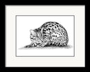 Asian Leopard Cat Art Print - Dan Pearce Sticker Shop