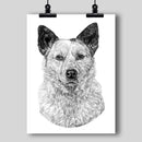 Australian Cattle Dog Art Print - Dan Pearce Sticker Shop