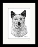 Australian Cattle Dog Art Print - Dan Pearce Sticker Shop