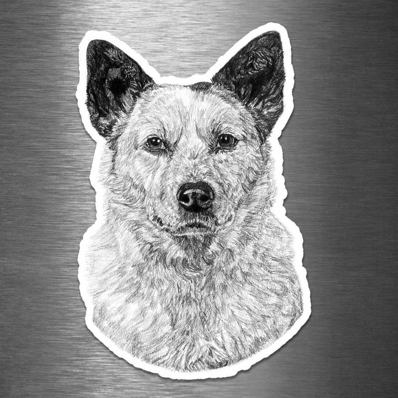 Australian Cattle Dog (Drawing) - Vinyl Sticker - Dan Pearce Sticker Shop
