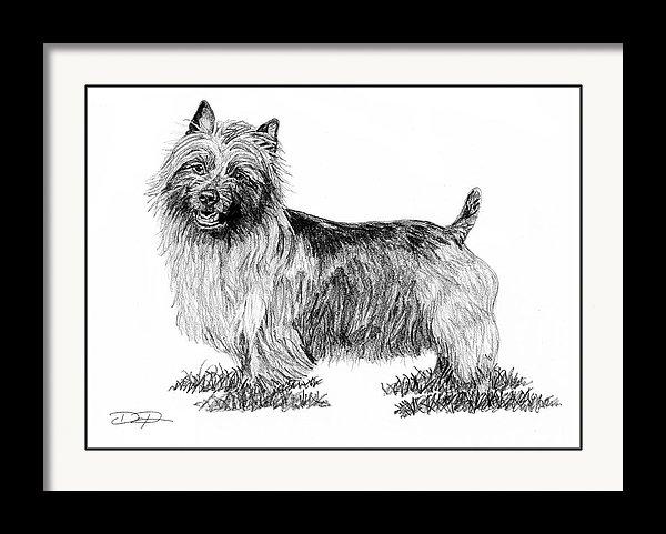 Australian Terrier Dog Fine Art Print - Dan Pearce Sticker Shop