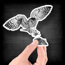 Barn Owl (Drawing) - Vinyl Sticker - Dan Pearce Sticker Shop