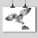 "Barn Owl" Fine Art Print - Dan Pearce Sticker Shop