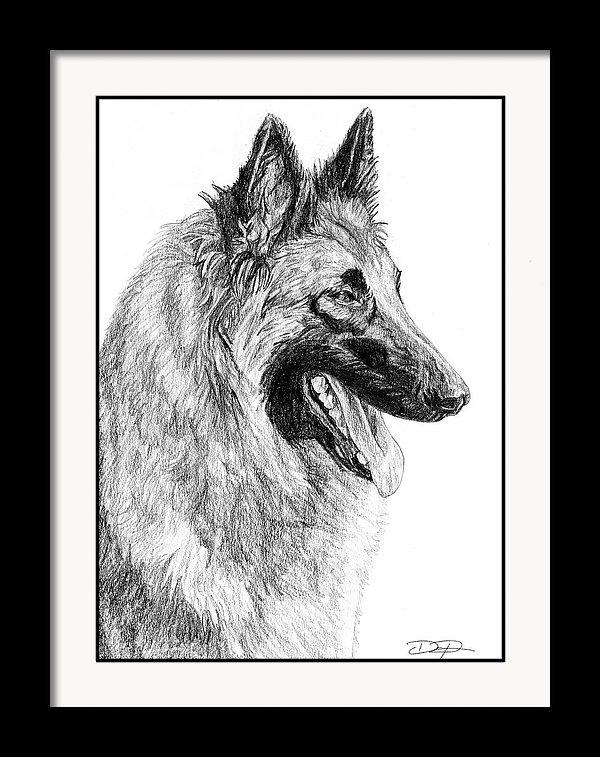 Belgian Tervuren Fine Art Print - Dan Pearce Sticker Shop