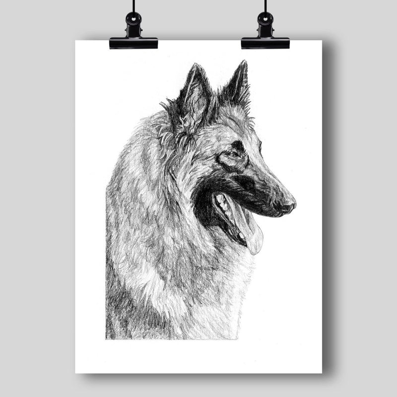 Belgian Tervuren Fine Art Print - Dan Pearce Sticker Shop