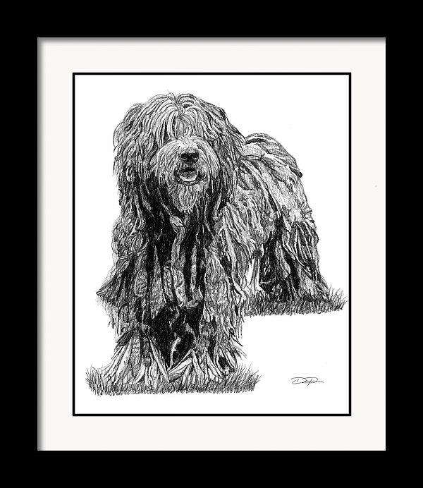 Bergamasco Sheep Dog Fine Art Print - Dan Pearce Sticker Shop