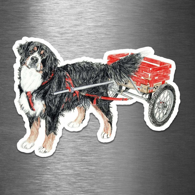Bernese Mountain Dog (Drawing) - Vinyl Sticker - Dan Pearce Sticker Shop