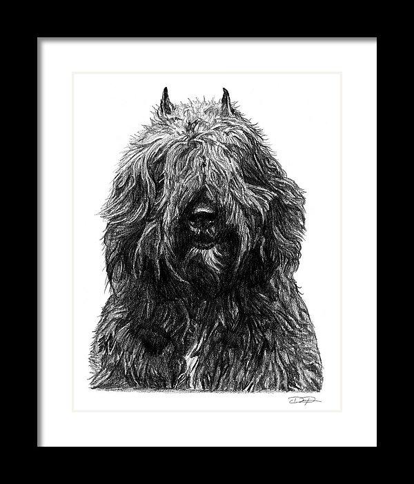 Bouvier des Flandres Dog Fine Art Print - Dan Pearce Sticker Shop