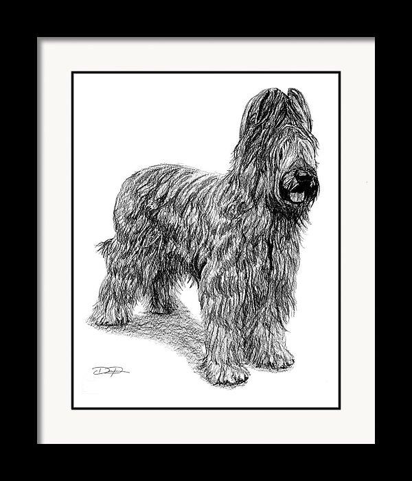 Briard Dog Fine Art Print - Dan Pearce Sticker Shop