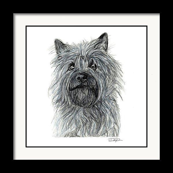 Cairn Terrier Dog Fine Art Print - Dan Pearce Sticker Shop