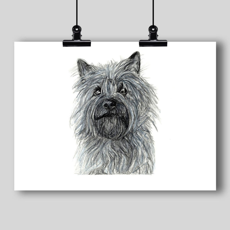 Cairn Terrier Dog Fine Art Print - Dan Pearce Sticker Shop