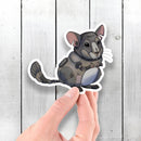 Chinchilla Robot - Vinyl Sticker - Dan Pearce Sticker Shop