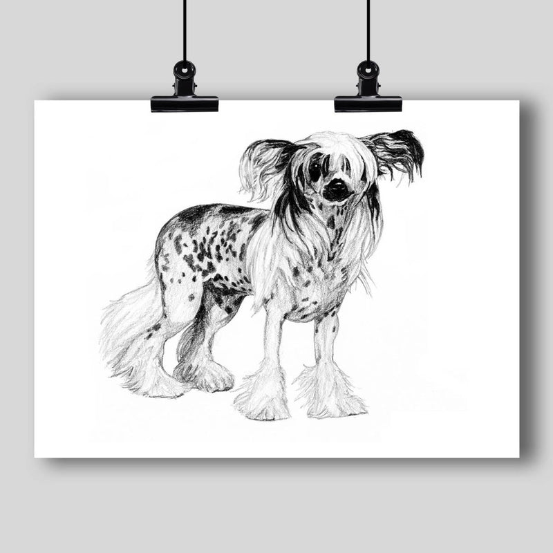 Chinese Crested Dog Fine Art Print - Dan Pearce Sticker Shop