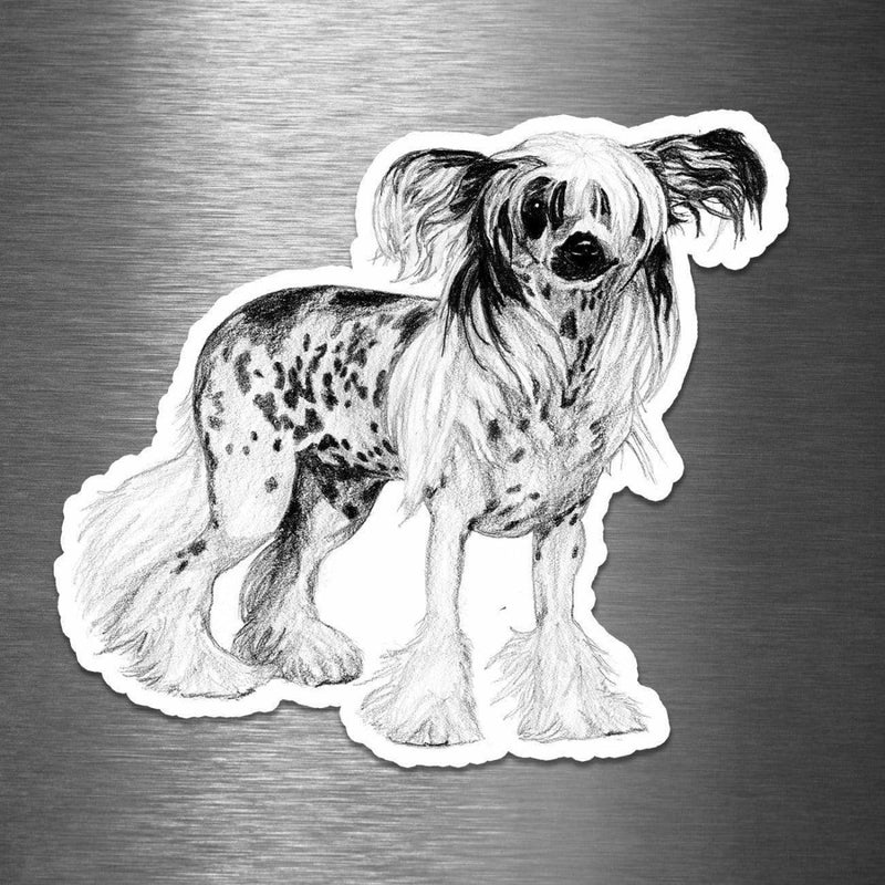 Chinese Hairless Crested (Drawing) - Vinyl Sticker - Dan Pearce Sticker Shop