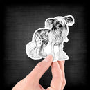 Chinese Hairless Crested (Drawing) - Vinyl Sticker - Dan Pearce Sticker Shop