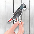 Congo African Grey Parrot Robot - Vinyl Sticker - Dan Pearce Sticker Shop
