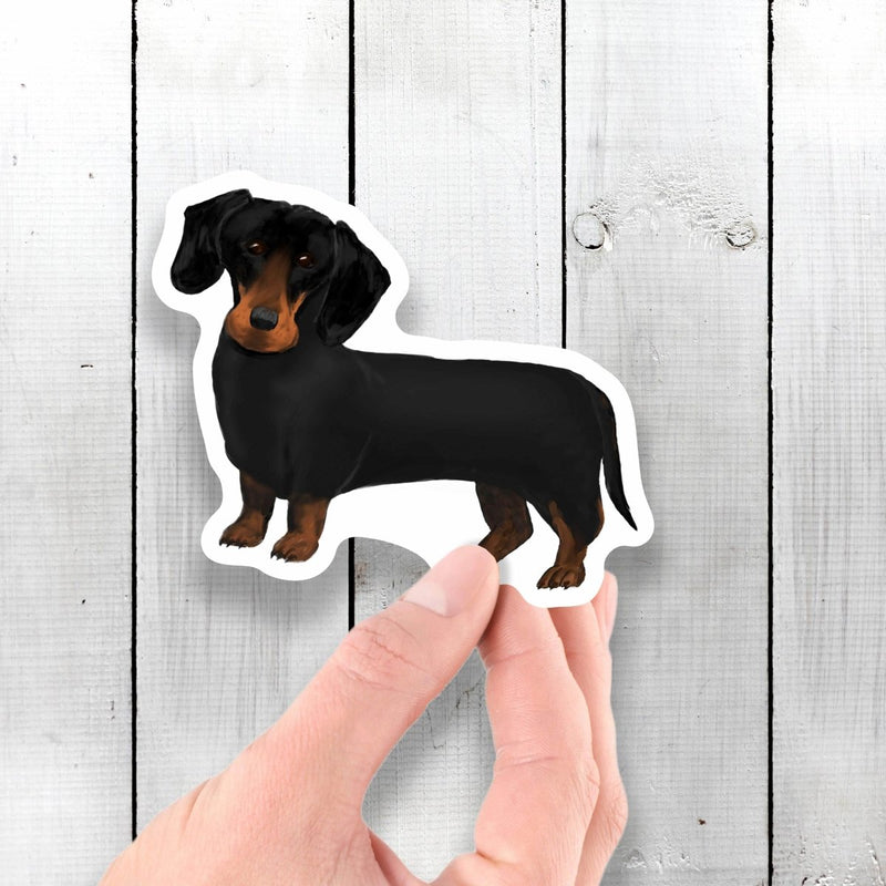 Dachshund Dog - Vinyl Sticker - Dan Pearce Sticker Shop