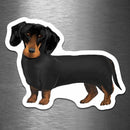 Dachshund Dog - Vinyl Sticker - Dan Pearce Sticker Shop