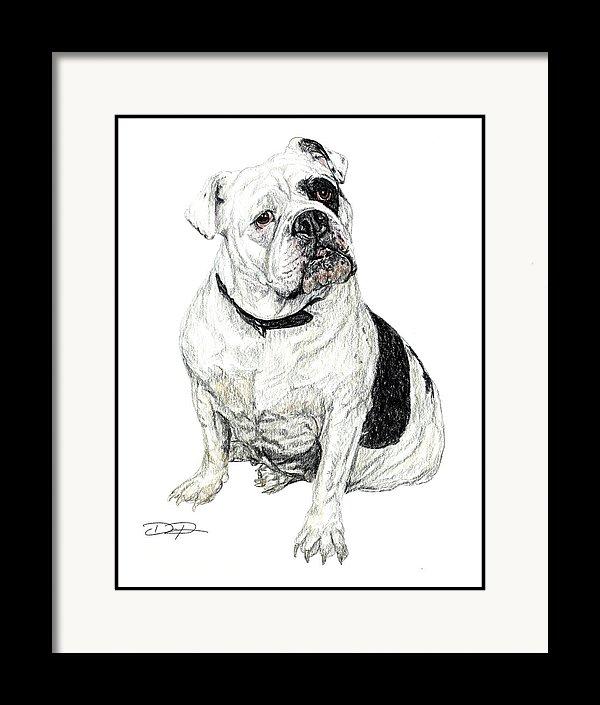 English Bulldog Fine Art Print - Dan Pearce Sticker Shop