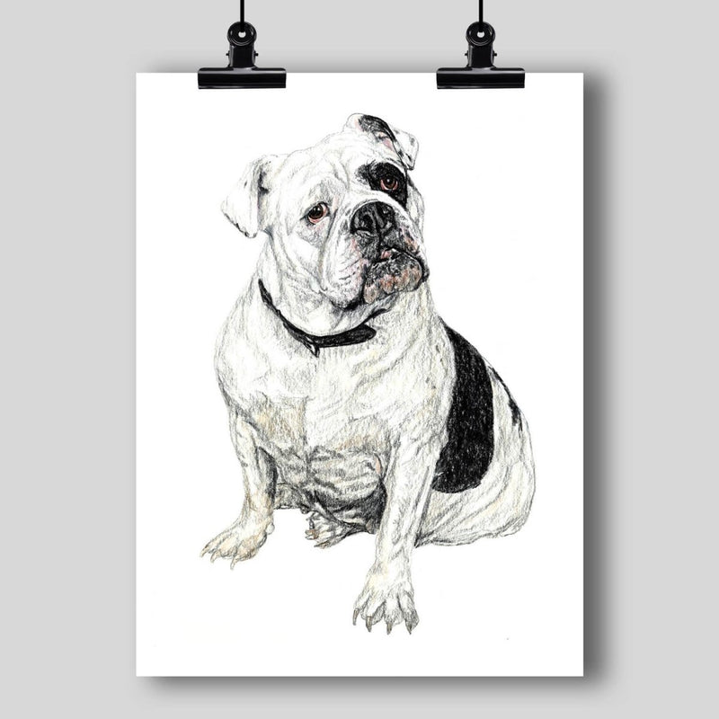 English Bulldog Fine Art Print - Dan Pearce Sticker Shop