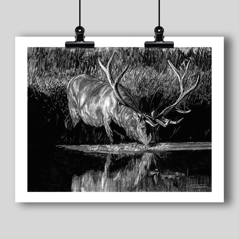 "Forest Royal" Fine Art Elk Print - Dan Pearce Sticker Shop