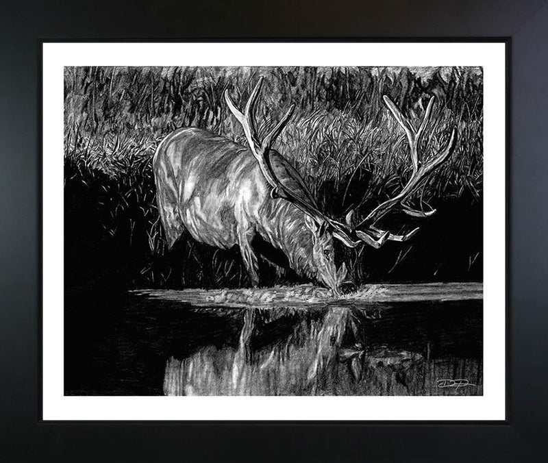 "Forest Royal" Original Elk Artwork 18 x 24 - Dan Pearce Sticker Shop