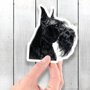Giant Schnauzer (Drawing) - Vinyl Sticker - Dan Pearce Sticker Shop