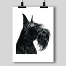 Giant Schnauzer Fine Art Print - Dan Pearce Sticker Shop