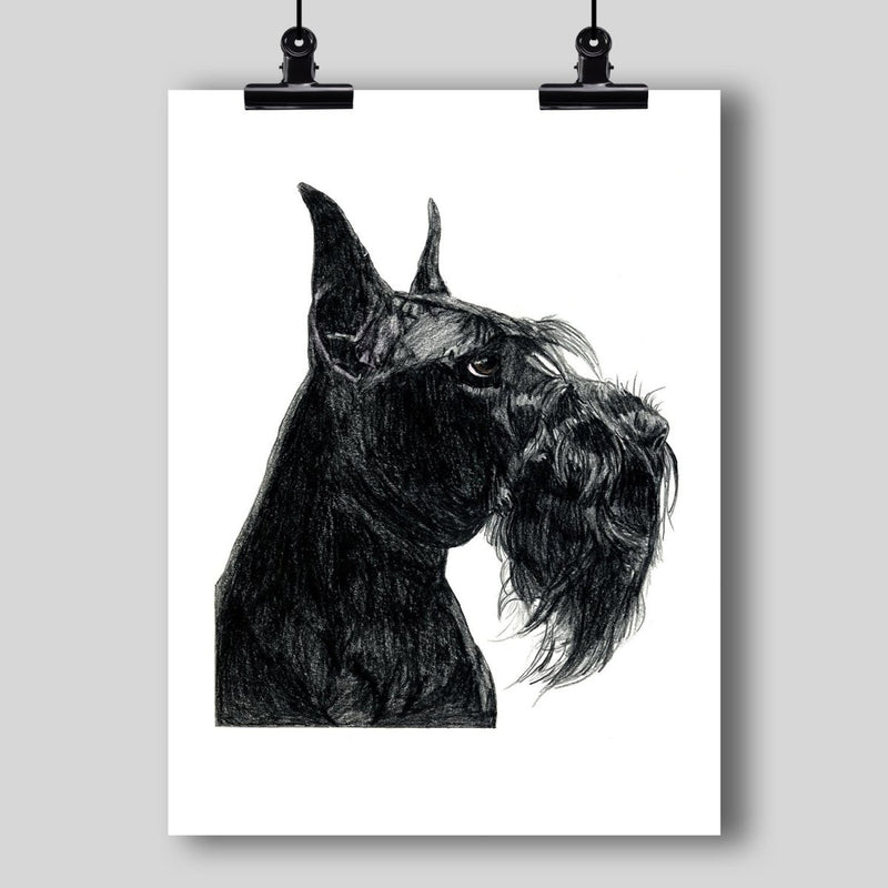 Giant Schnauzer Fine Art Print - Dan Pearce Sticker Shop