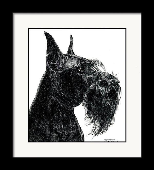 Giant Schnauzer Fine Art Print - Dan Pearce Sticker Shop