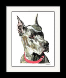 Great Dane Watercolor Fine Art Print - Dan Pearce Sticker Shop