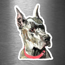 Great Dane (Watercolor) - Vinyl Sticker - Dan Pearce Sticker Shop