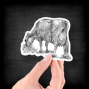 Jersey Cow (Drawing) - Vinyl Sticker - Dan Pearce Sticker Shop