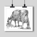Jersey Milking Cow Fine Art Print - Dan Pearce Sticker Shop