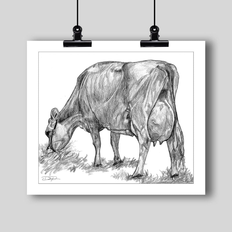 Jersey Milking Cow Fine Art Print - Dan Pearce Sticker Shop