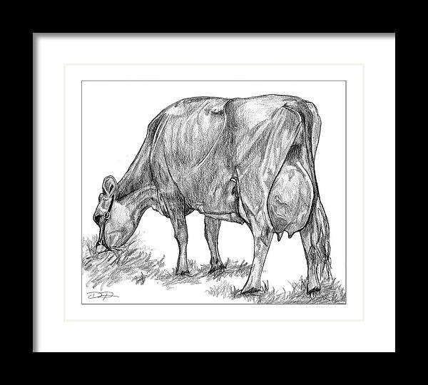 Jersey Milking Cow Fine Art Print - Dan Pearce Sticker Shop