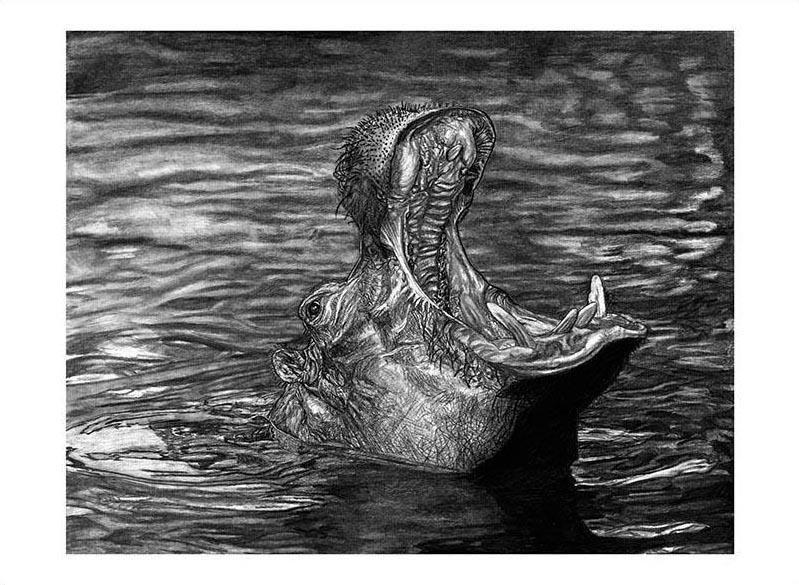 "Keeper of the Swamp" Fine Art Hippopotamus Original Artwork 18 x 24 - Dan Pearce Sticker Shop