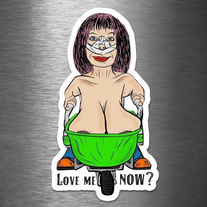 Love Me Now?! - Vinyl Sticker - Dan Pearce Sticker Shop
