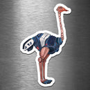Ostrich Robot - Vinyl Sticker - Dan Pearce Sticker Shop
