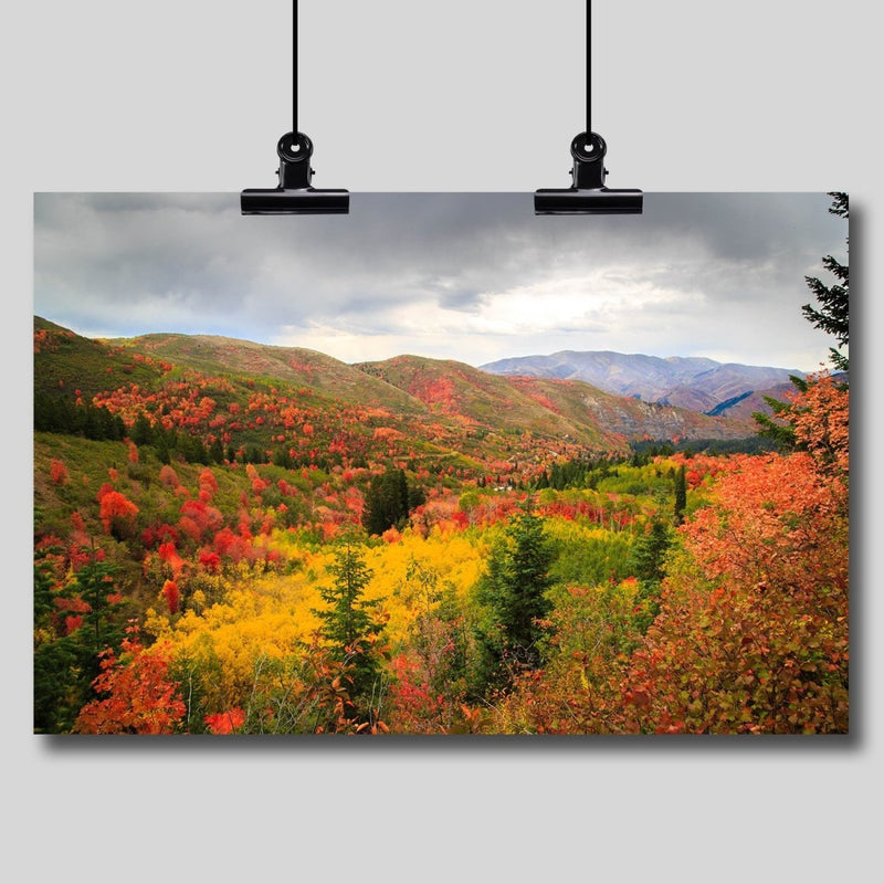 Photo Print: Autumn in the Wasatch Mountains - Dan Pearce Sticker Shop