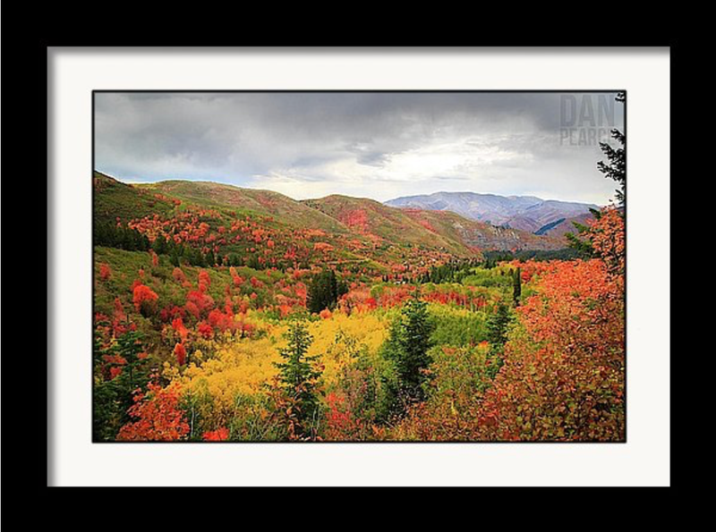 Photo Print: Autumn in the Wasatch Mountains - Dan Pearce Sticker Shop